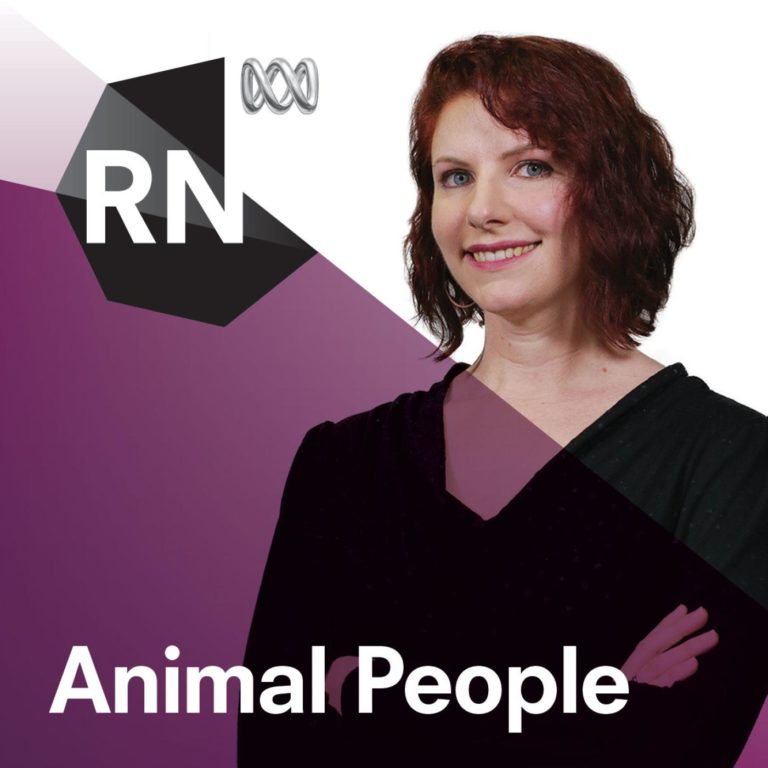 Animal People – Australian Audio Guide